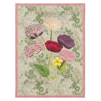 BLJD5011, Poppy Study, Violet, John Derian